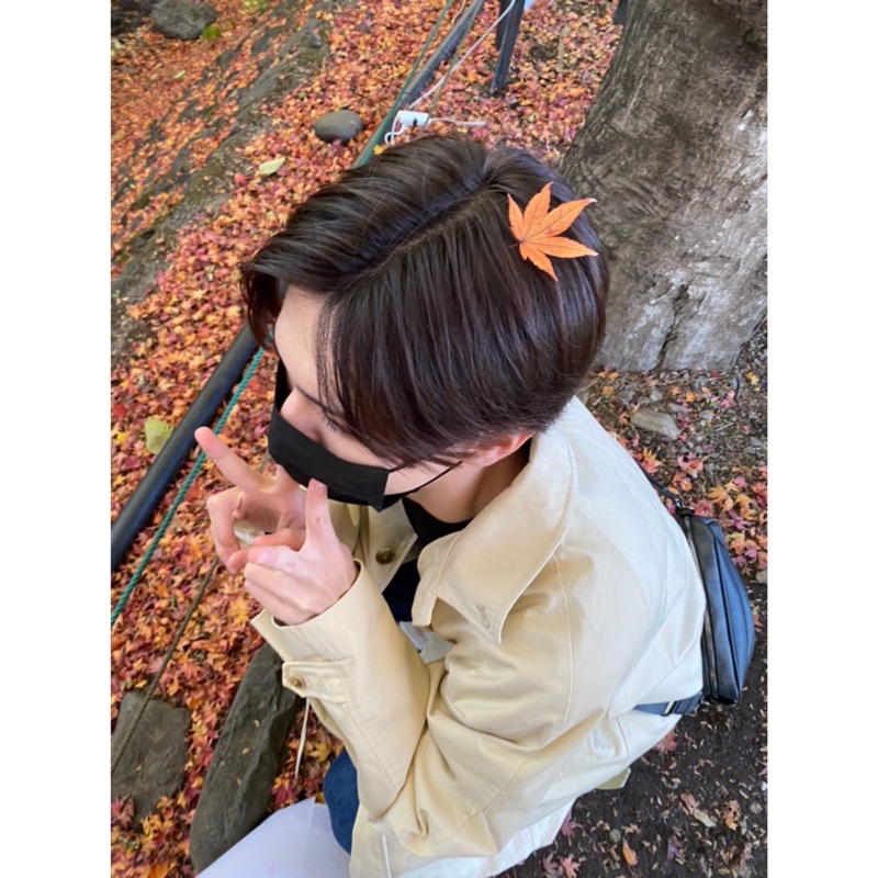 レイ