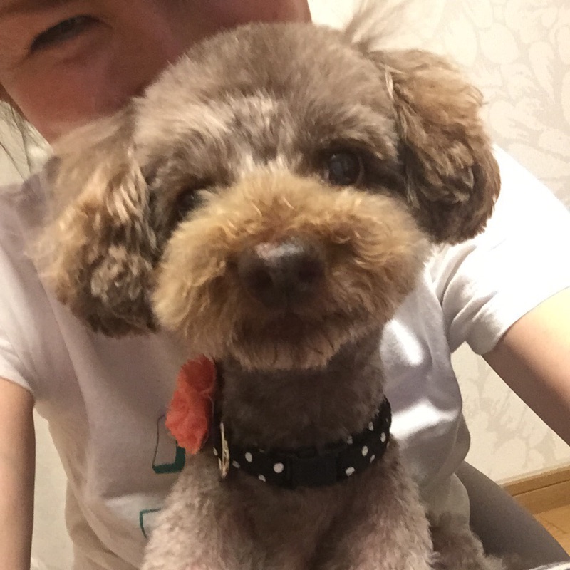内原　美香子
