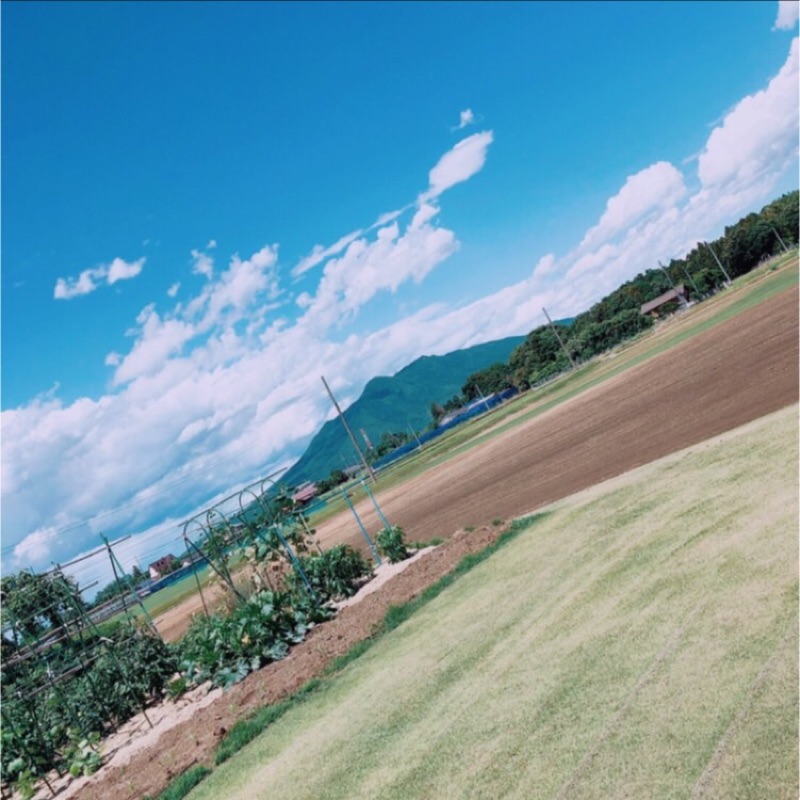 高木大誠