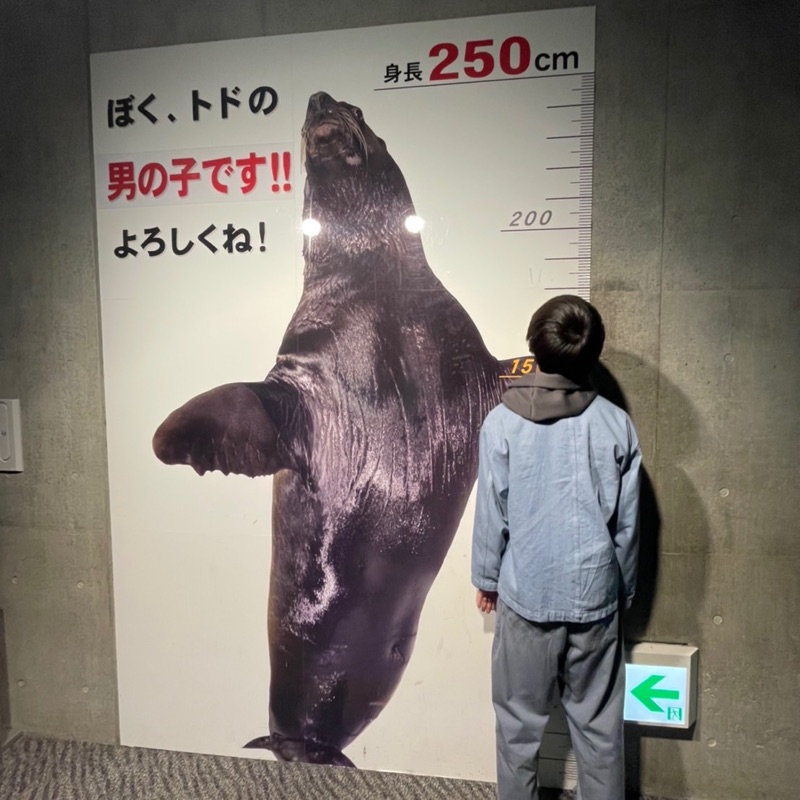 石畑優斗