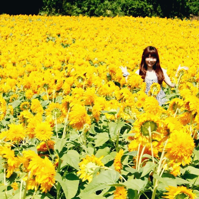 りり
