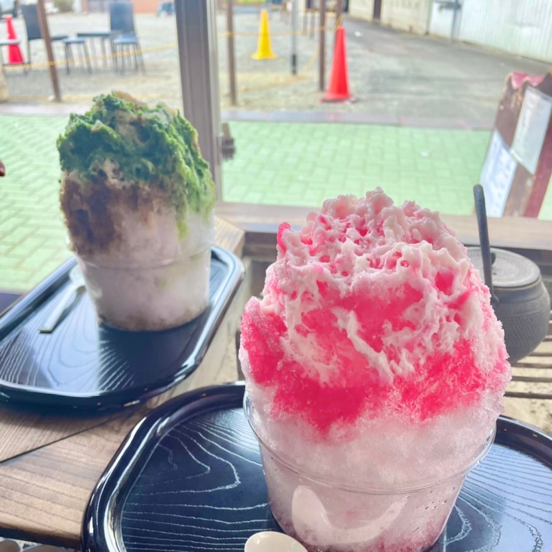 佐野 友希恵