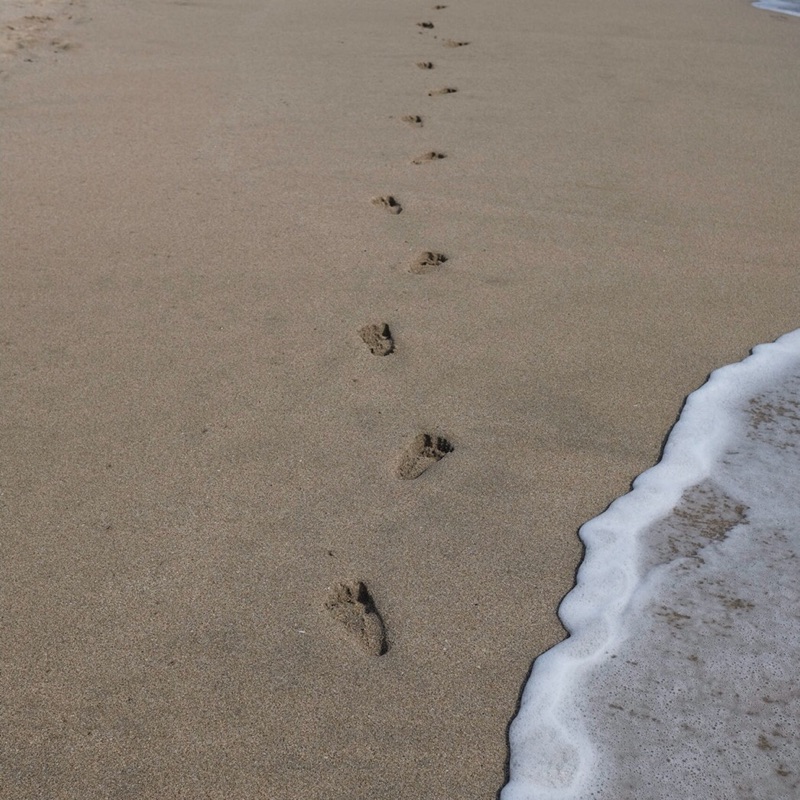 みなこ　ムラサキ