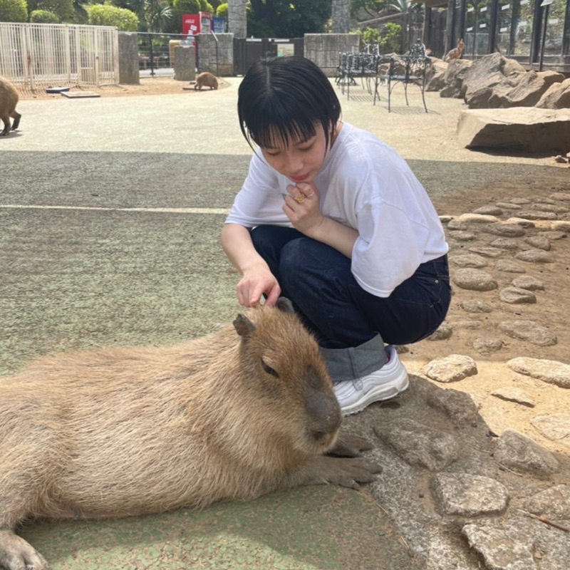 青本莉愛