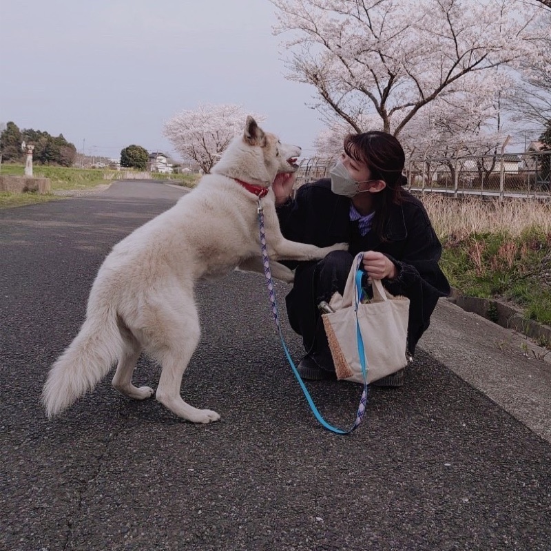 永島 里紗