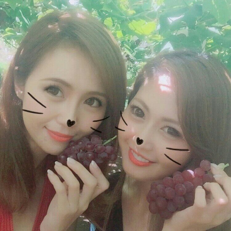 おうちゃん
