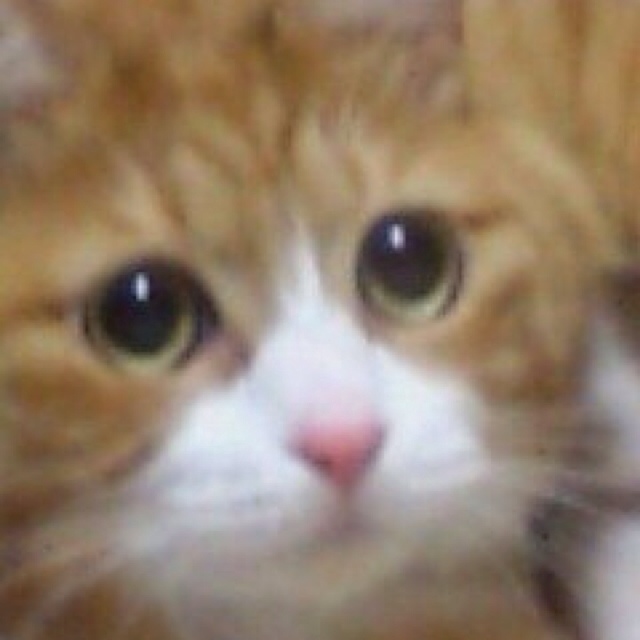 りょう