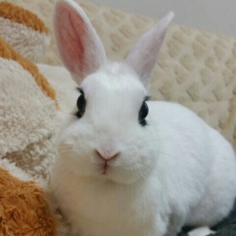 えみ