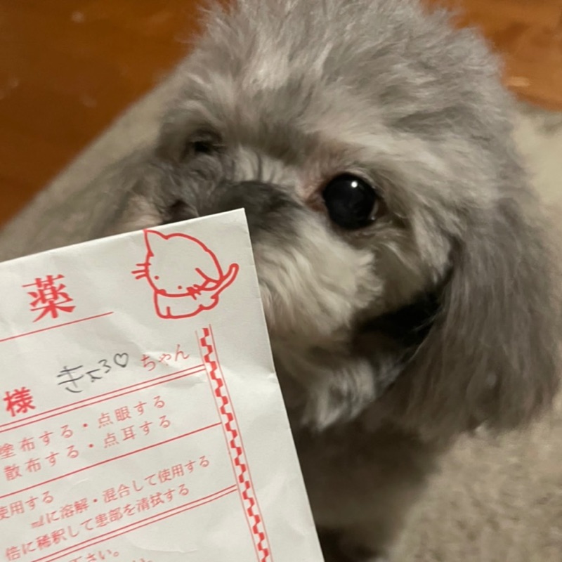 三浦綾子