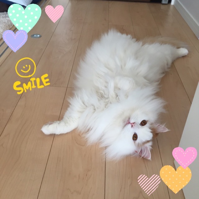 あやぱん