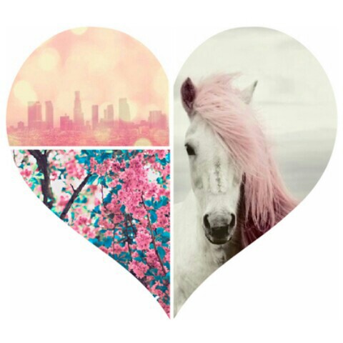 YU→RI