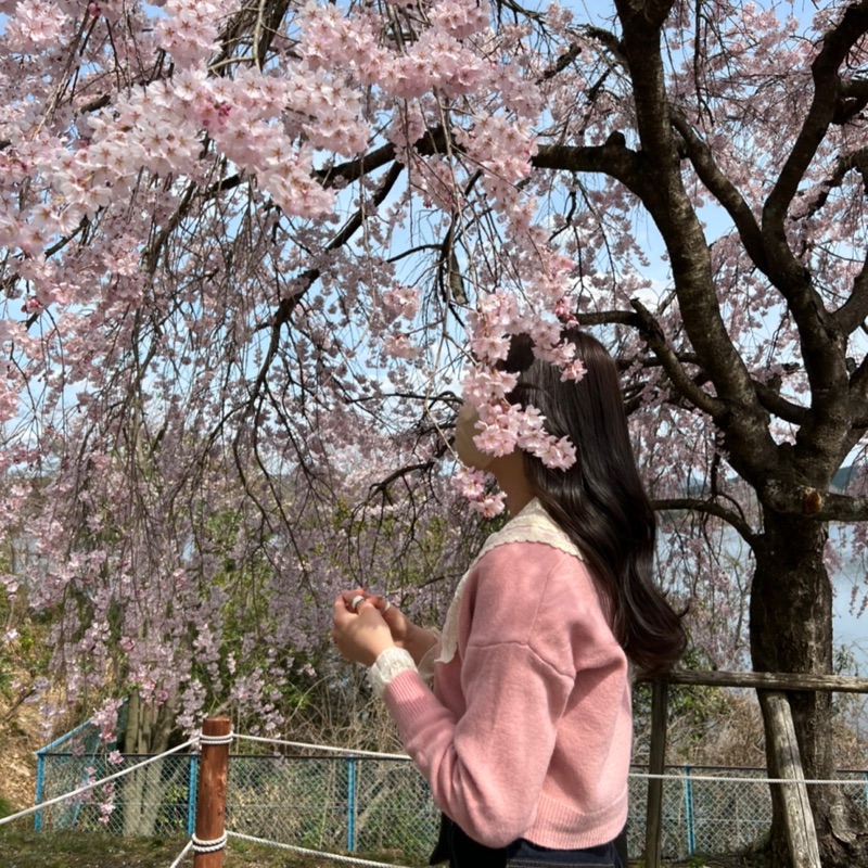 陳 沢美
