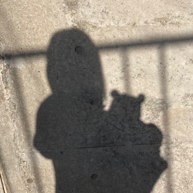 ms