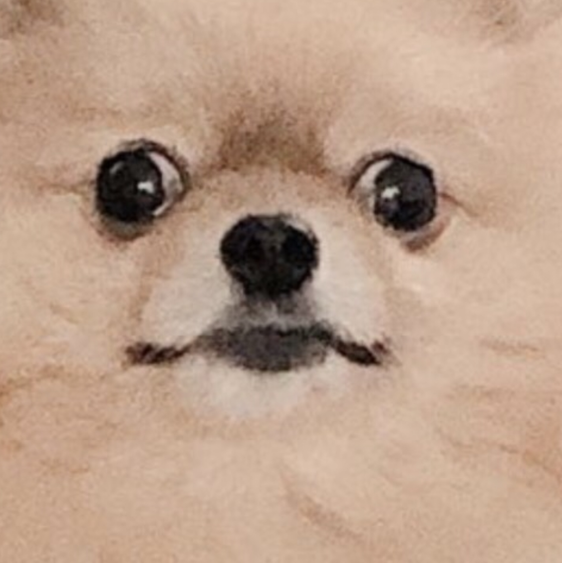 まるの者