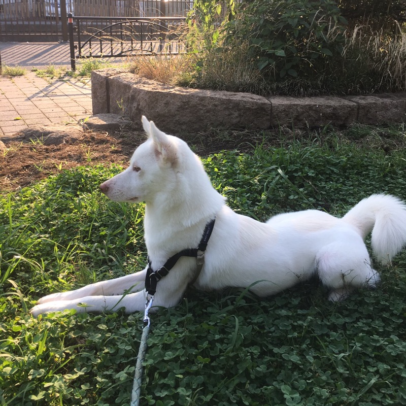 さちこ