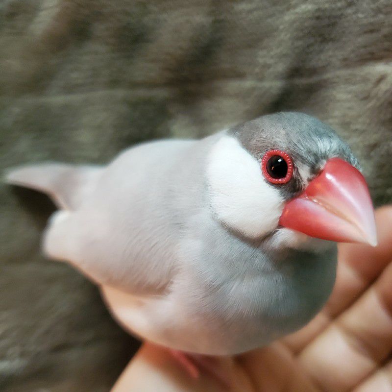 神谷