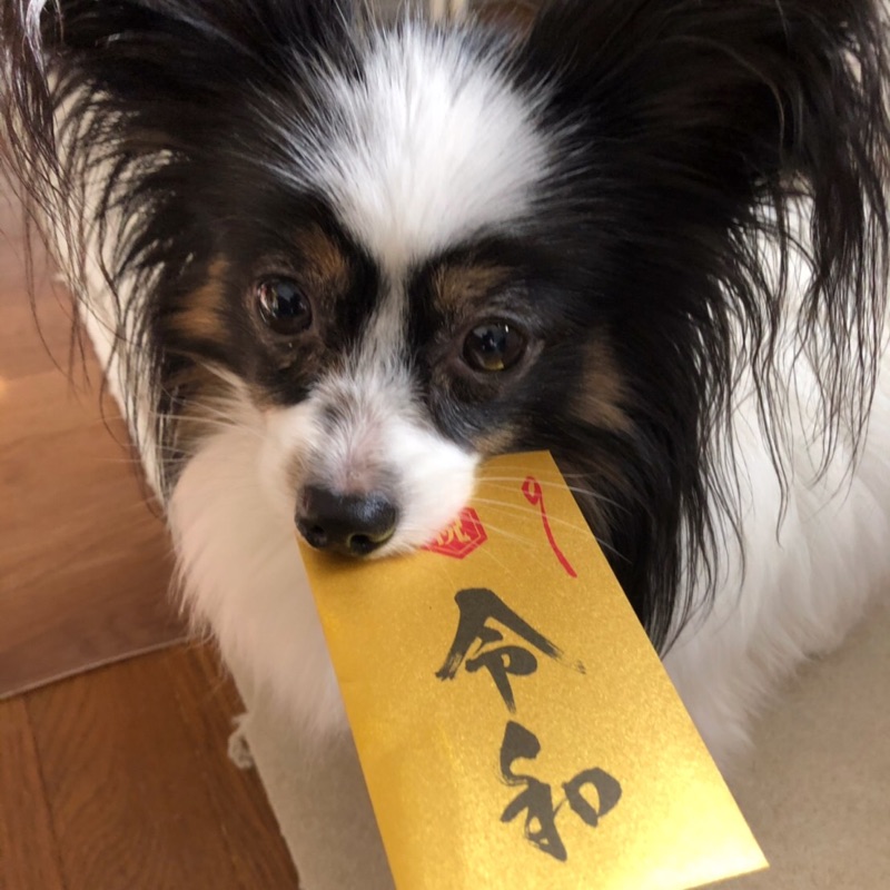 のぞみ