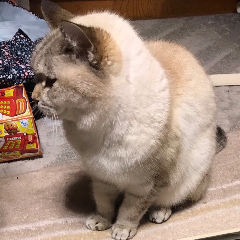 ひらい