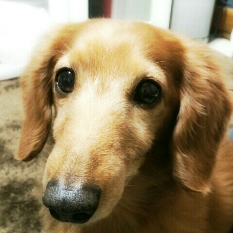 斉藤