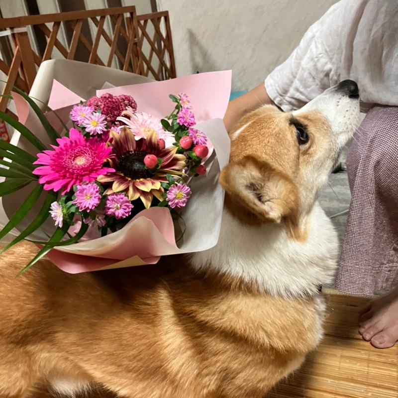 矢定　唯