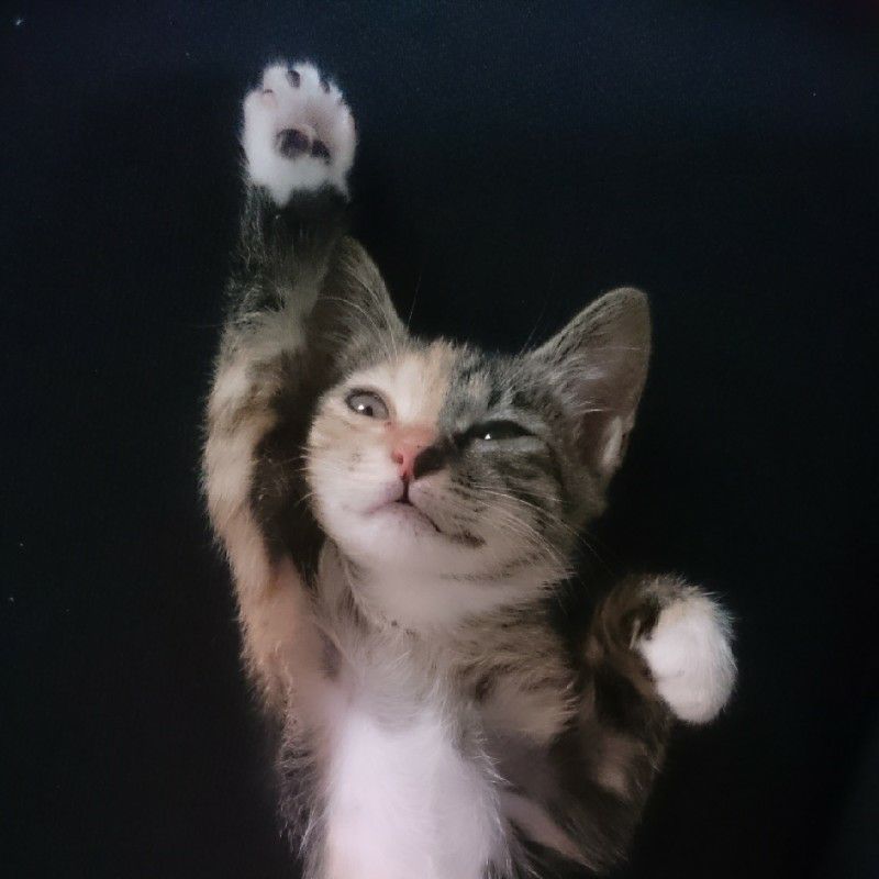 恵美
