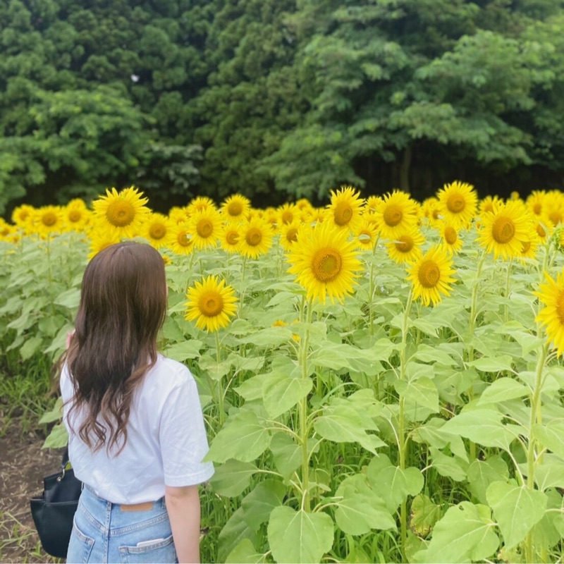 ゆうな