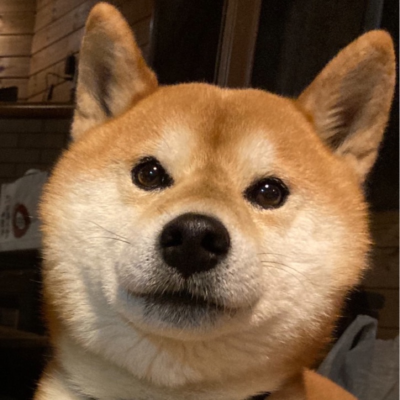 あかり