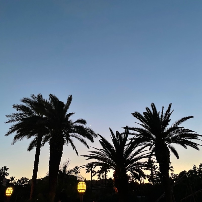 夢佳