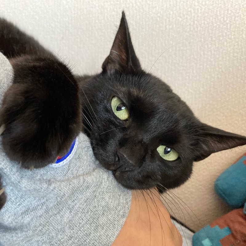 谷ヶ﨑輝璃