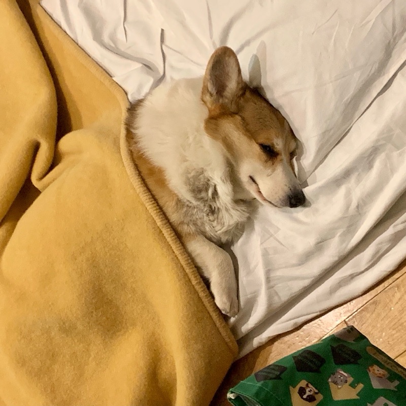 千葉　希望