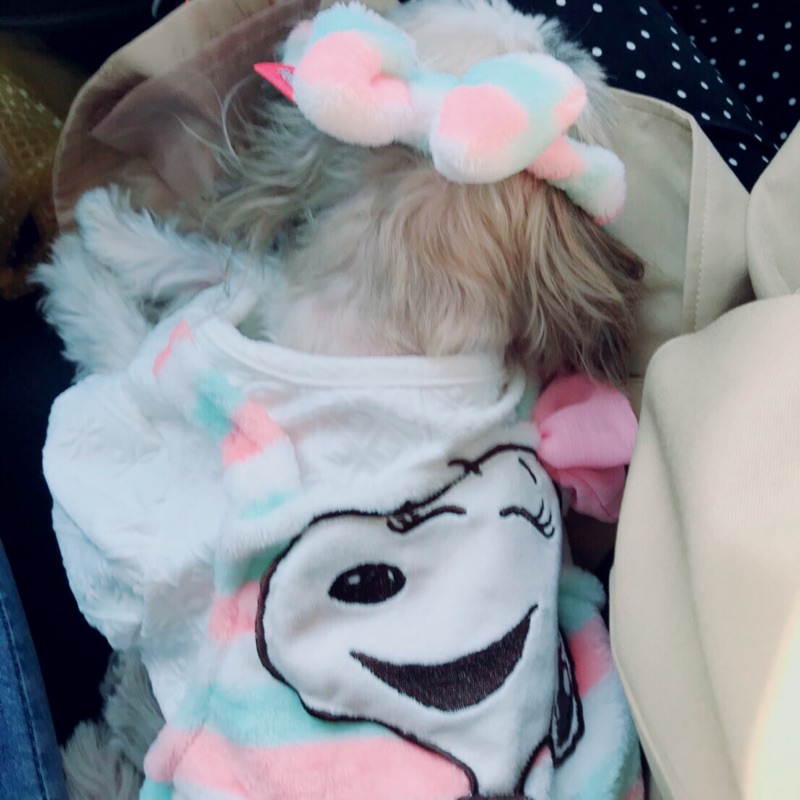 あーたん