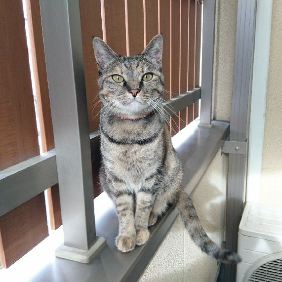 kaoru
