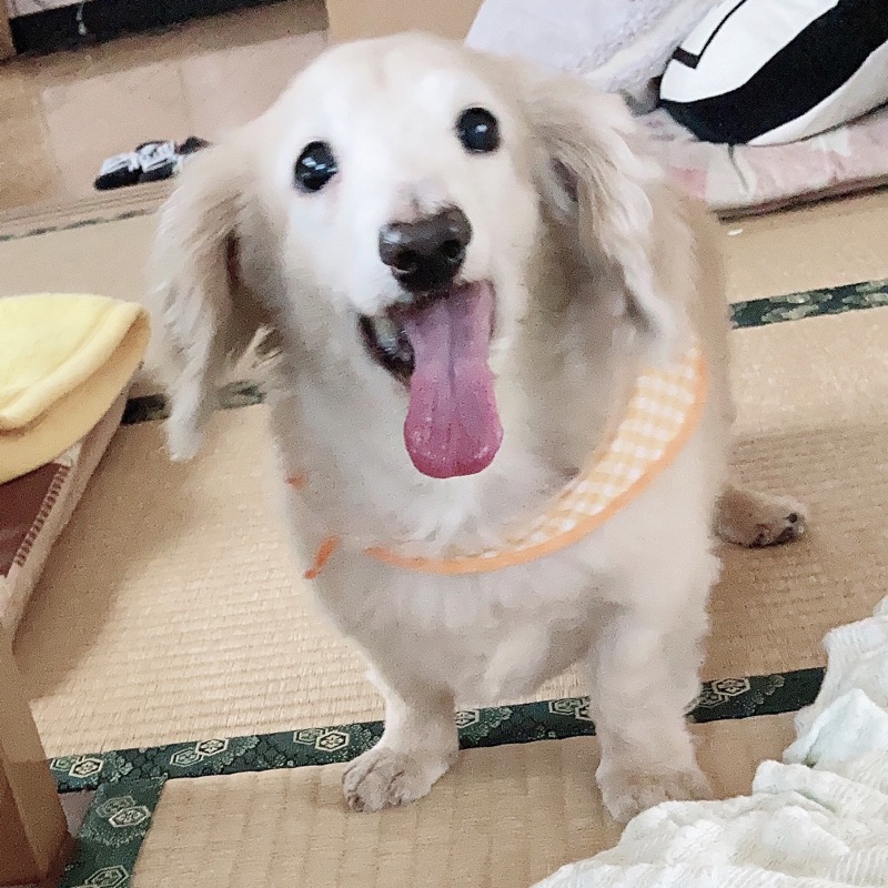 山口 美咲