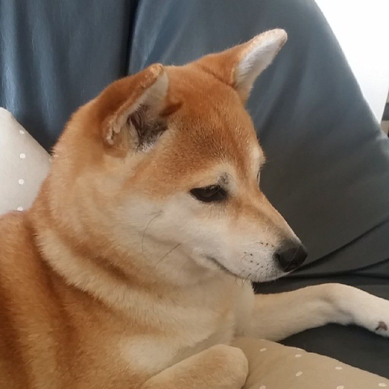 井上　幸平