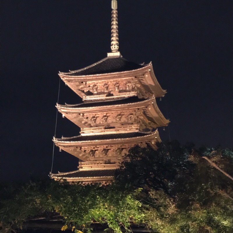 ココダケ