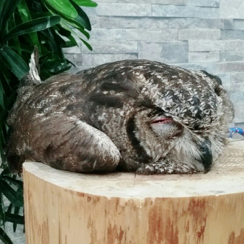 前原 雅人