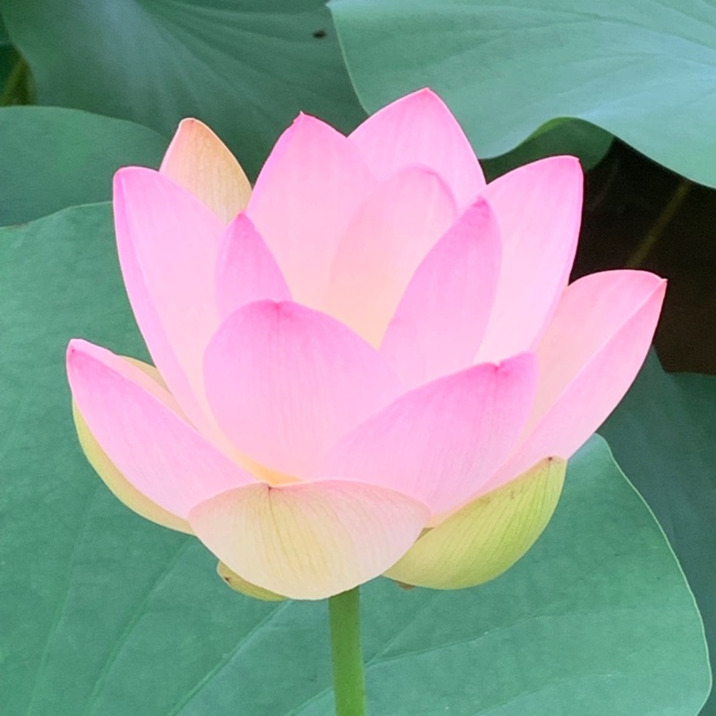 矢端浩明