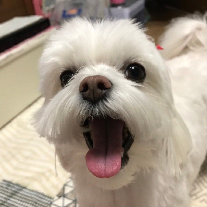 西村