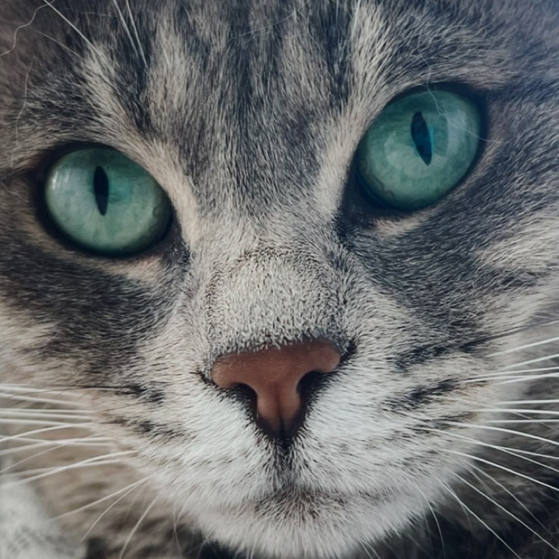 hi...