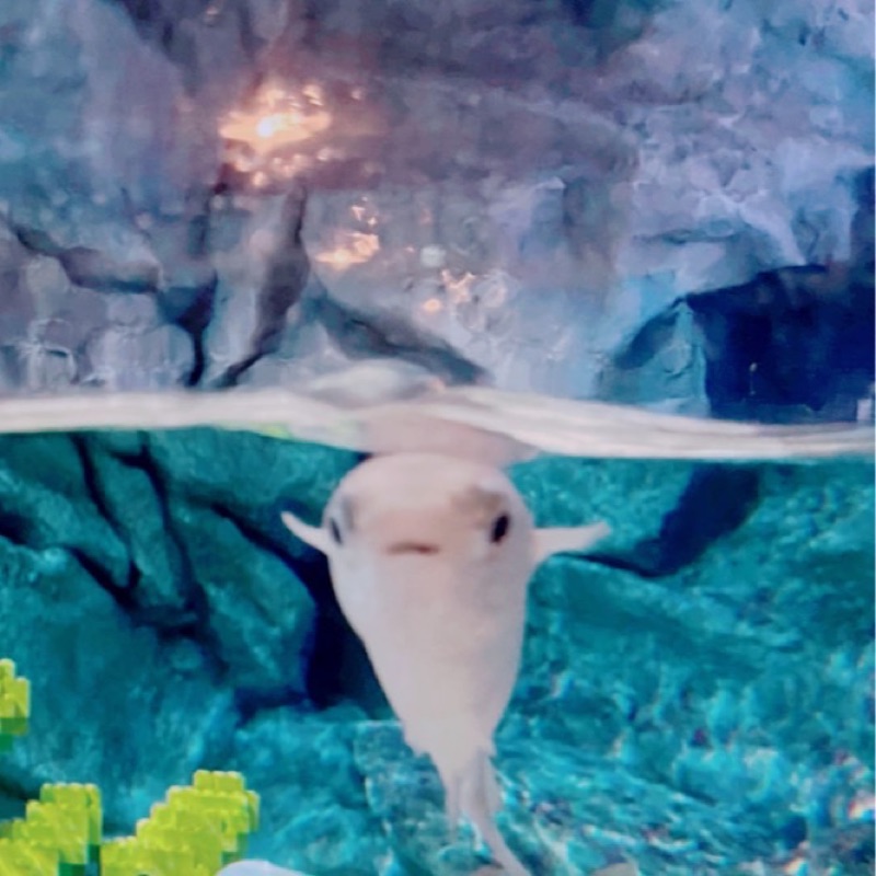 あいり