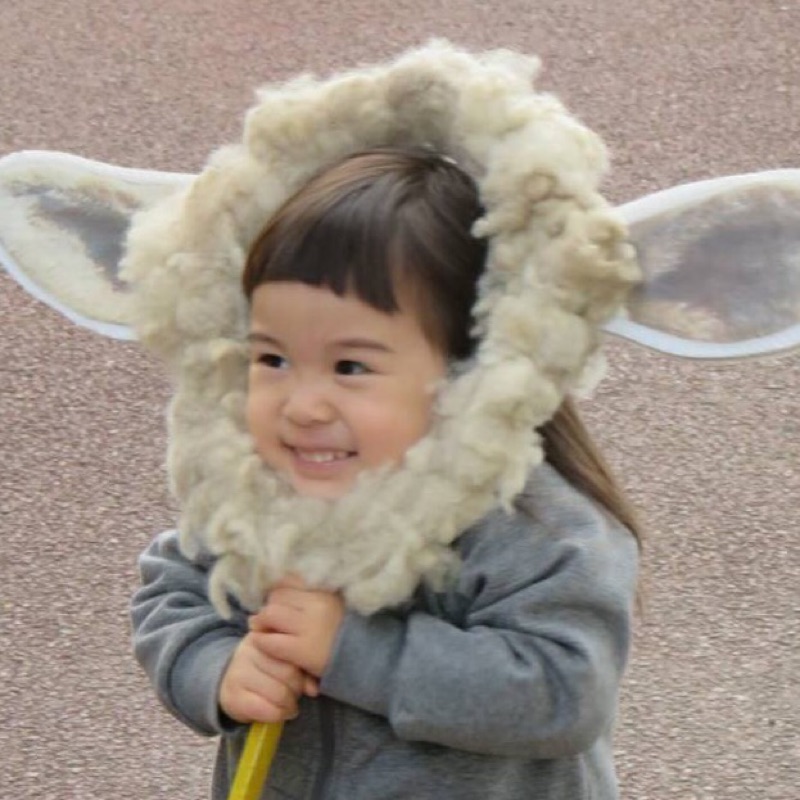 ここちゃん