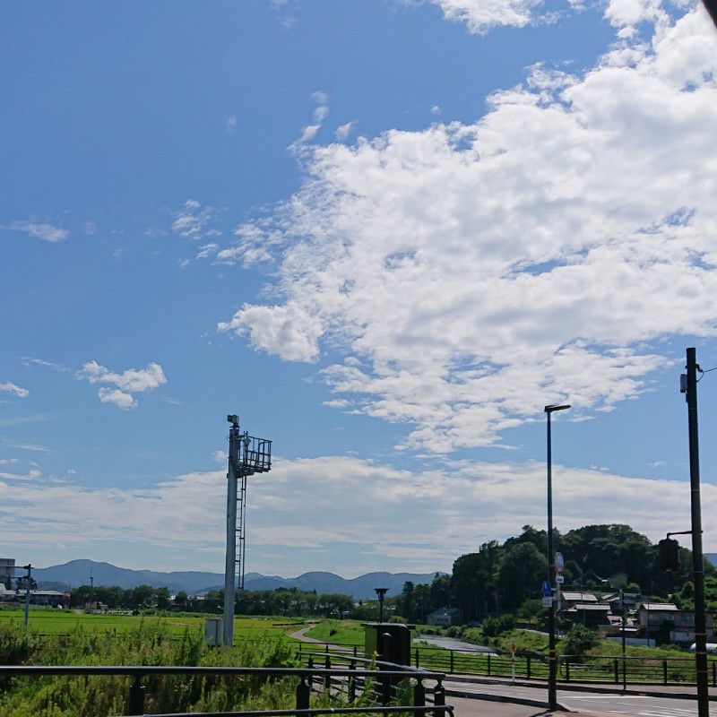 近藤 芳恵