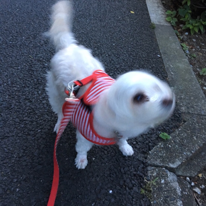 みっちゃん