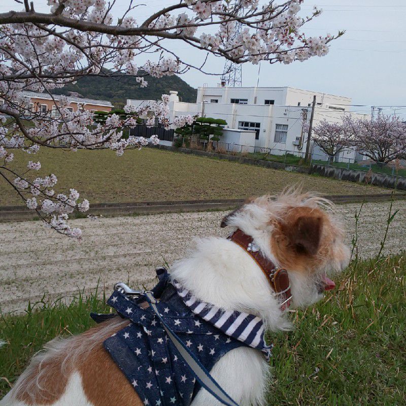 陣川　博子