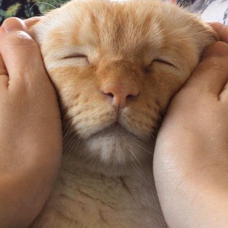 玉城もね