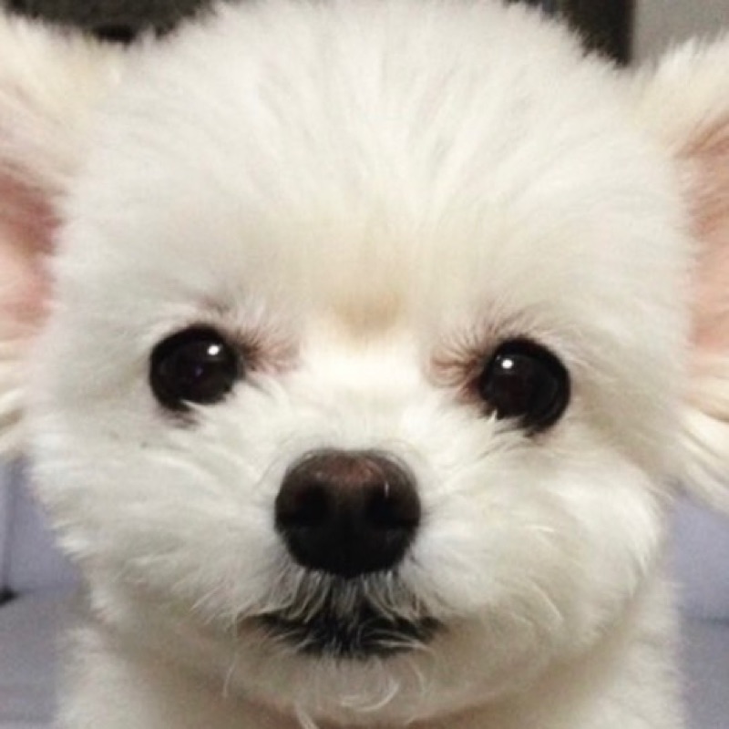 真里佳
