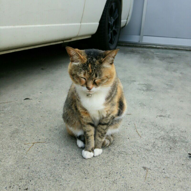 臼居珠江