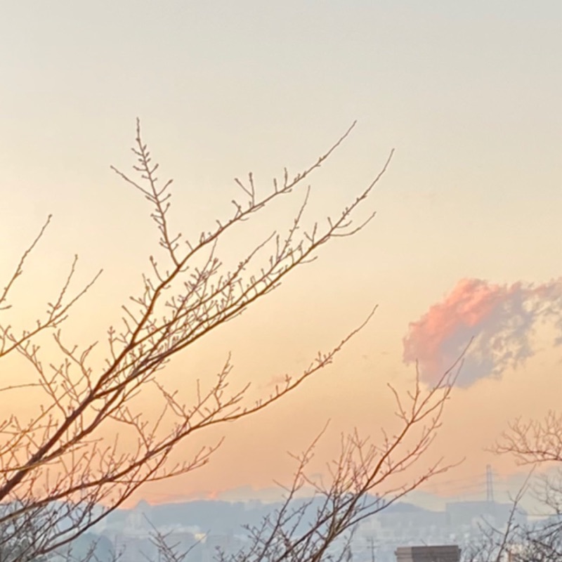 まひろ