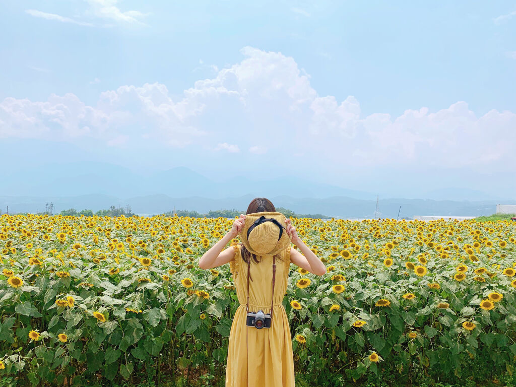 【これで完璧】ブルべ夏に合う・コスメ・服装を総まとめ。パーソナルカラーを活かして魅力UPを目指そう。の画像