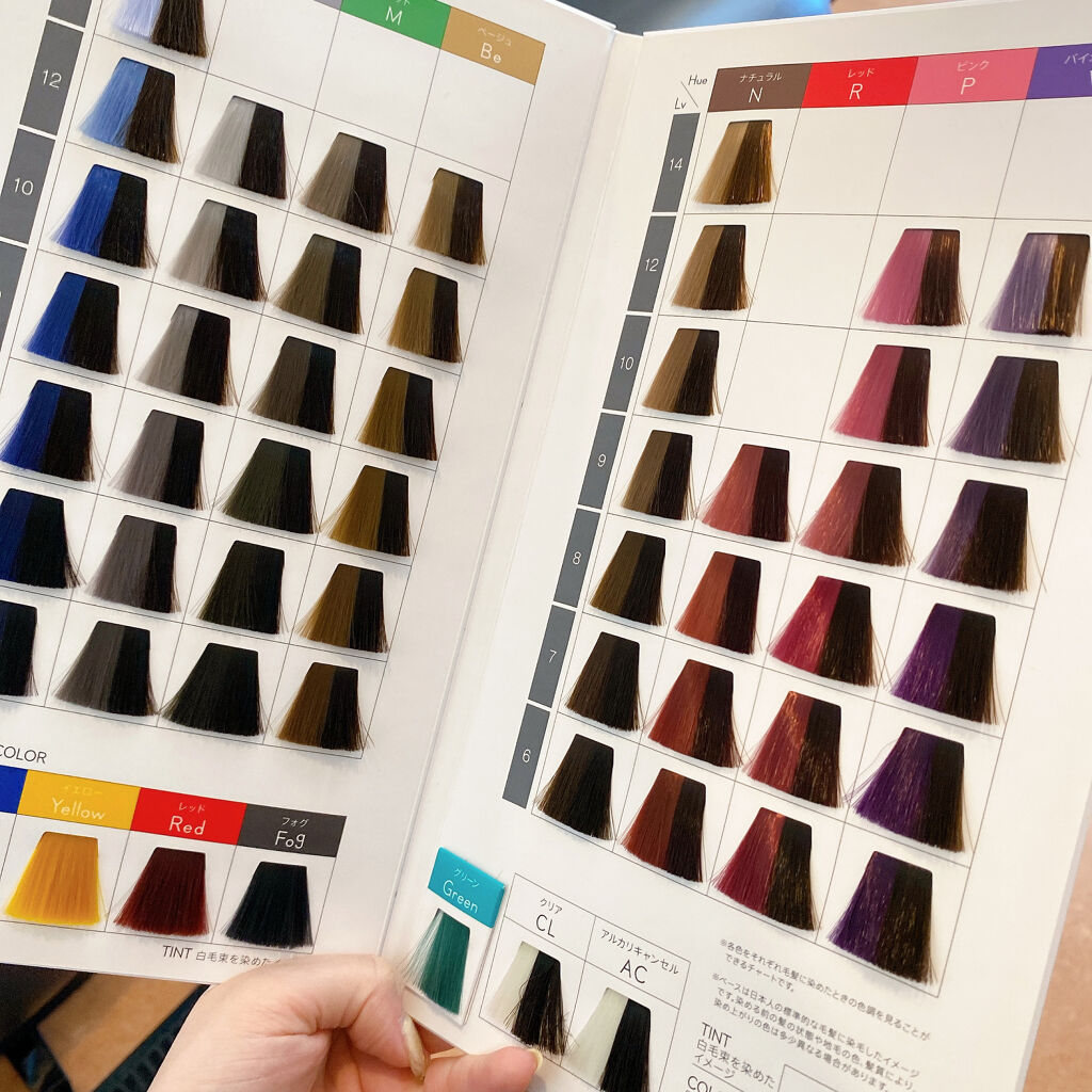 22年暗髪人気ヘアスタイル 透明感up 色落ちしにくい ハイライト インナーカラー グレージュ Lips